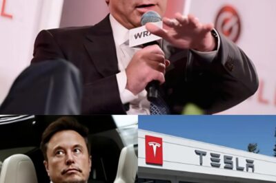 SH*CKING: Top Tesla investor Ross Gerber calls for Elon Musk to step down after a $800,000,000,000 trillion stock drop