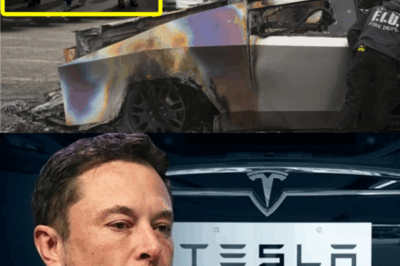 Breaking News: Elon Musk says he’s shocked at the level of Tesla hate and vandalism happening: ‘I’ve never done anything harmful’