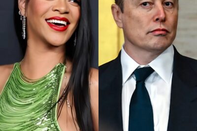 Rihanna mocks and rubs salt in Elon Musk’s wounds as Tesla shares plummet: ‘He deserves to get this, that bastard…’