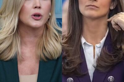 DRAMA: After a contentious question, Karoline Leavitt removes CNN’s Kaitlan Collins from the press briefing