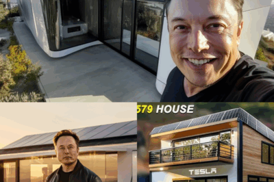 Elon Musk’s $10,000 Tesla Tiny House: A Game-Changer That Could Disrupt the Global Housing Market!