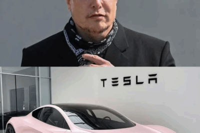 Elon Musk Unveils Tesla’s Secret Plan to Revolutionize Urban Transport