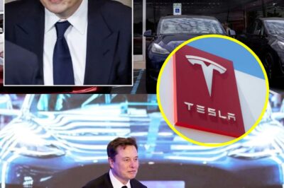 3 MINUTES AGO: GERMANY makes bold decision to shut down Tesla and the US auto industry – Elon Musk responds with a shocking message of only 7 words, revealing a hidden truth that has shocked the world.