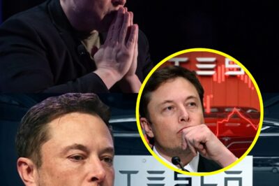 Tesla Collapses, Twitter in Chaos, and Now $144 Billion Disappeared: Can Elon Musk Stand Up After This Financial Nightmare?