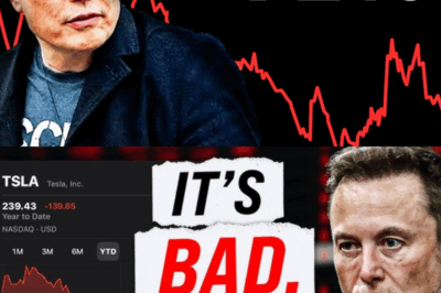 Elon Musk’s Massive Tesla Stock Sell-Off Sparks Unprecedented $100 Billion Meltdown—Is This the Beginning of the End for the Electric Car Giant? Discover the Untold Story Behind the Sudden Crash and What It Means for Investors and the Future of Tesla