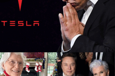 Elon Musk Breaks Down in Tears: Announces Shocking Decision to Step Away from Tesla—The Heartbreaking Truth Behind His Emotional Exit Revealed! What Happened to His Mother That Forced the World’s Most Ambitious CEO to Walk Away? Full Story and Exclusive Details Inside!