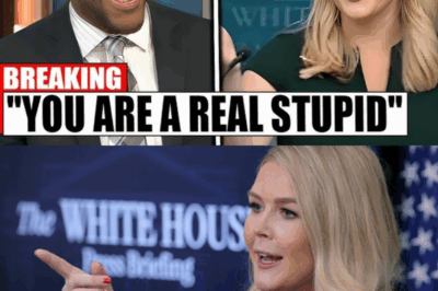 NFL Legend Publicly Clashes With Karoline Leavitt on Live TV—Watch the Jaw-Dropping Moment Her Epic Comeback Silences the Studio! Exclusive Details on the Heated Exchange That’s Taking Social Media by Storm—What Did She Say That Left a Football Icon Speechless?