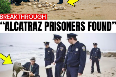 A DIVER EXPLORED THE WATERS AROUND ALCATRAZ — AND WHAT WAS FOUND SHOCKED THE WORLD!