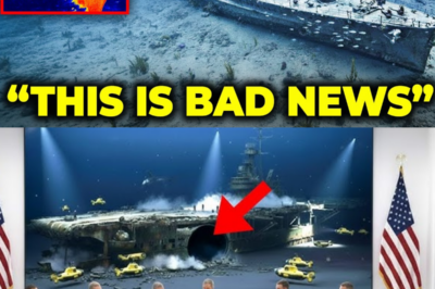 A SUBMARINE DRONE JUST FOUND A SEALED CHAMBER IN THE BISMARCK — AND SOMETHING INSIDE IS STILL ACTIVE