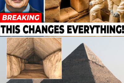 SCIENTISTS JUST DISCOVERED A HIDDEN DOOR IN THE GREAT PYRAMID AND WHAT IT REVEALED IS TERRIFYING