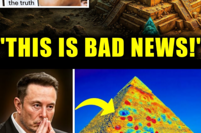 GROK AI JUST REVEALED THE TRUE PURPOSE OF THE PYRAMIDS AND IT’S NOT GOOD