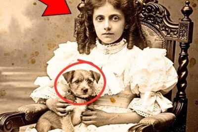 This 1900 Photo of a Girl with Her Puppy Seemed Adorable — Until Restoration Revealed the Truth
