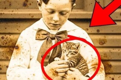 This 1905 Photo of a Boy with His Kitten Seemed Adorable — Until Restoration Revealed the Truth