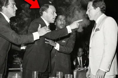 Andy Williams Got DESTROYED by Sinatra — What He Did Next Left Las Vegas in TEARS