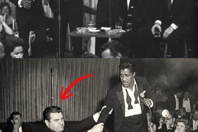 A Mafia Boss Tried to Kick Sammy Davis Jr Off Stage — Dean Martin Stopped Everything