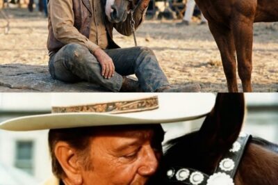 John Wayne’s Horse Sensed He Was Dying Before Anyone Else Did—Their Final Goodbye Will Break You