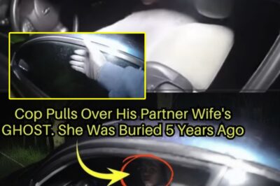 Moment Cop Pulls Over His Wife’s Ghost, Died 5 Years Ago — You Won’t Believe What Happened
