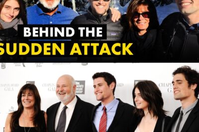 Rob Reiner Spent Years Trying to Save His Son. Then the Unthinkable Happened