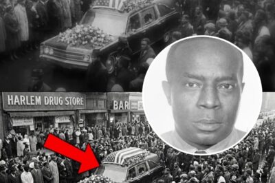 Bumpy Johnson’s Final Words to the Mafia — 5,000 People Came to His Funeral