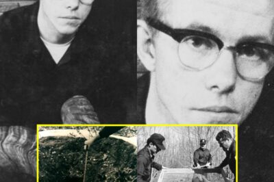 Murderers in the Guise of Bakers – The Chilling Case That Shocked Alaska