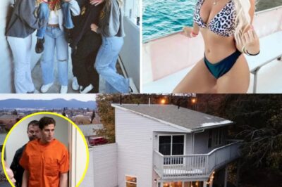 The Quiet House Where Everything Changed Overnight