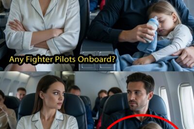 The CEO Mocked the Single Father — Then Fate Called: “Are There Any Fighter Pilots on Board?