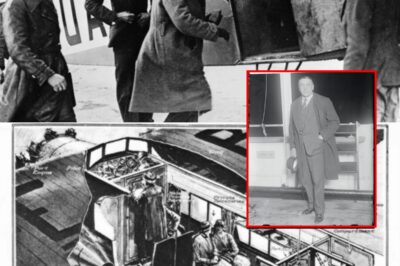 The Billionaire Who Fell From the Sky