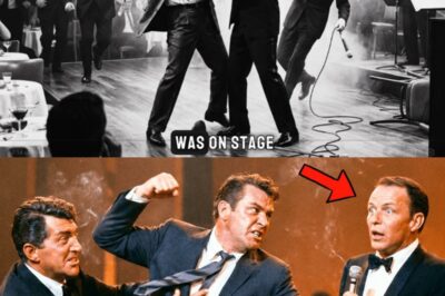 A Furious Man Jumped Onstage to Punch Frank — Dean Martin’s Move Was Legendary