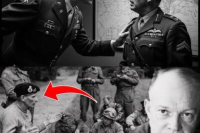 The Day Eisenhower Finally Told Montgomery to “Shut Up or Get Out”