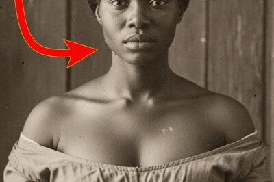 The $412,000 Secret: The Woman Who Turned Montgomery’s Ledgers into Weapons