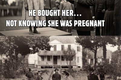 The Plantation Master Bought a Young Slave for 19 Cents… Then Discovered Her Hidden Connection