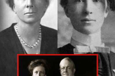 The Widow Who Rebuilt Your Kitchen