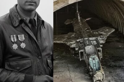 WWII Navy Pilot Vanished in 1944 — 80 Years Later, His Fighter Plane Found in Secret Bunker
