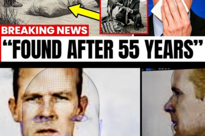 What Scientists JUST Discovered In Alcatraz Sh0cked The Whole World