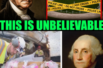 What Archaeologists Found at George Washington’s Mount Vernon Left Everyone Sh0cked