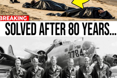 Missing WW2 Pilots Found After 80 Years, And It’s Worse Than We Thought