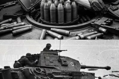 How One Loader’s “STUPID” Ammo Swap Made Shermans Fire Twice as Fast
