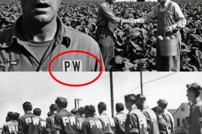 Nazi POWs in Kentucky Thought They Were Being Mocked When Sent to Work Here