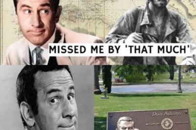 The Story of United States Marine Don Adams (Maxwelll Smart)