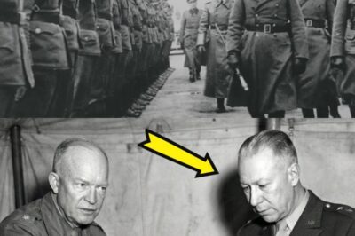 “Get Him Out of Here!” – Why Eisenhower FIRED General Fredendall