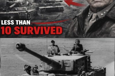 They Sent 72 Tiger Tanks to Stop Patton — Fewer Than 10 Survived