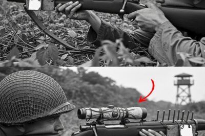 They Banned His “Homemade Bolt” Rifle — Until He Killed 11 Japanese Snipers in 5 Days