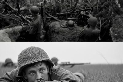 They Discharged Him for “Mental Instability” — Then He Became Top Sniper With 83 Confirmed Kills