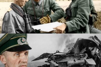 German General Sent 58 Brand New Panthers to Stop Patton… 8 Came Back | www2