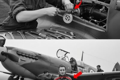How One Woman’s “50-Cent” Metal Washer Made Spitfires Outfly Every Bf-109 — Saved 2,100 Pilots
