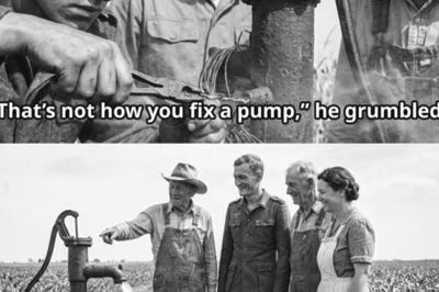 “German Wire Trick” – American Farmer SHOCKED When a German POWs Silly Idea Saved His Land