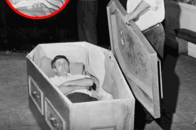 Mike Meaney survived being buried alive for 61 days,   but the scariest part of the stunt wasn’t the suffocation or the isolation…