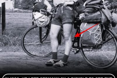 “He Left on a Bicycle in 1962 — And Never Really Came Back”