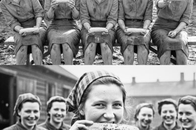 “Is This Pig Food?” – German Women POWs Shocked by American Corn… Until One Bite