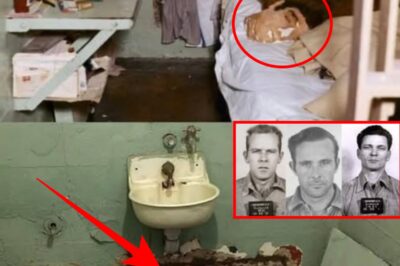 The Night Alcatraz Blinked